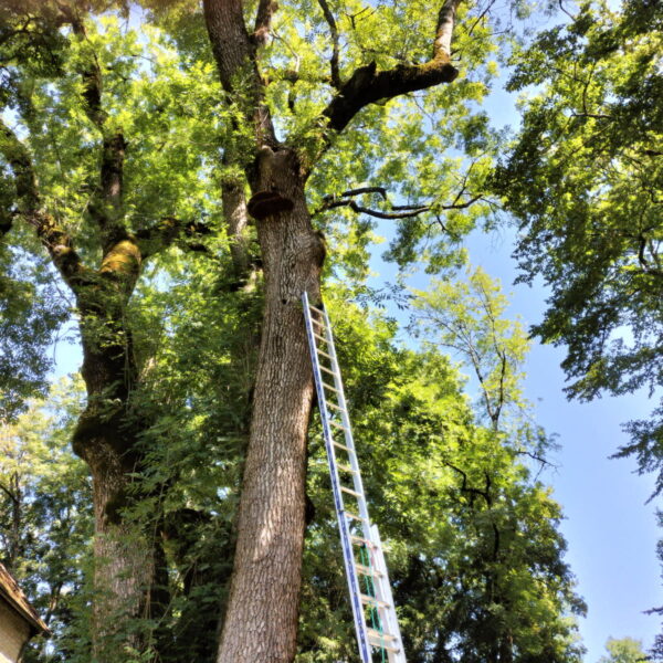 IMG_20250819_130846 (2)